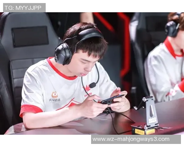 深入分析王者荣耀WE战队战术布局与团队协作策略探讨